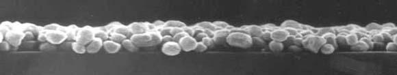 magnified phosphor
